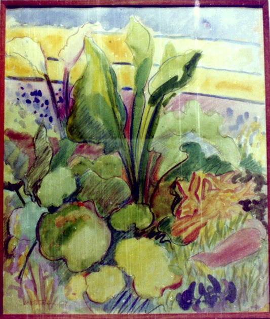 Ngahere Garden 2. watercolour 1978. Private Collection