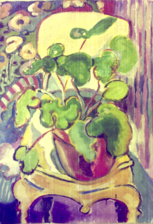 Begonia on Fancy Chair. 1977.   Private Collection