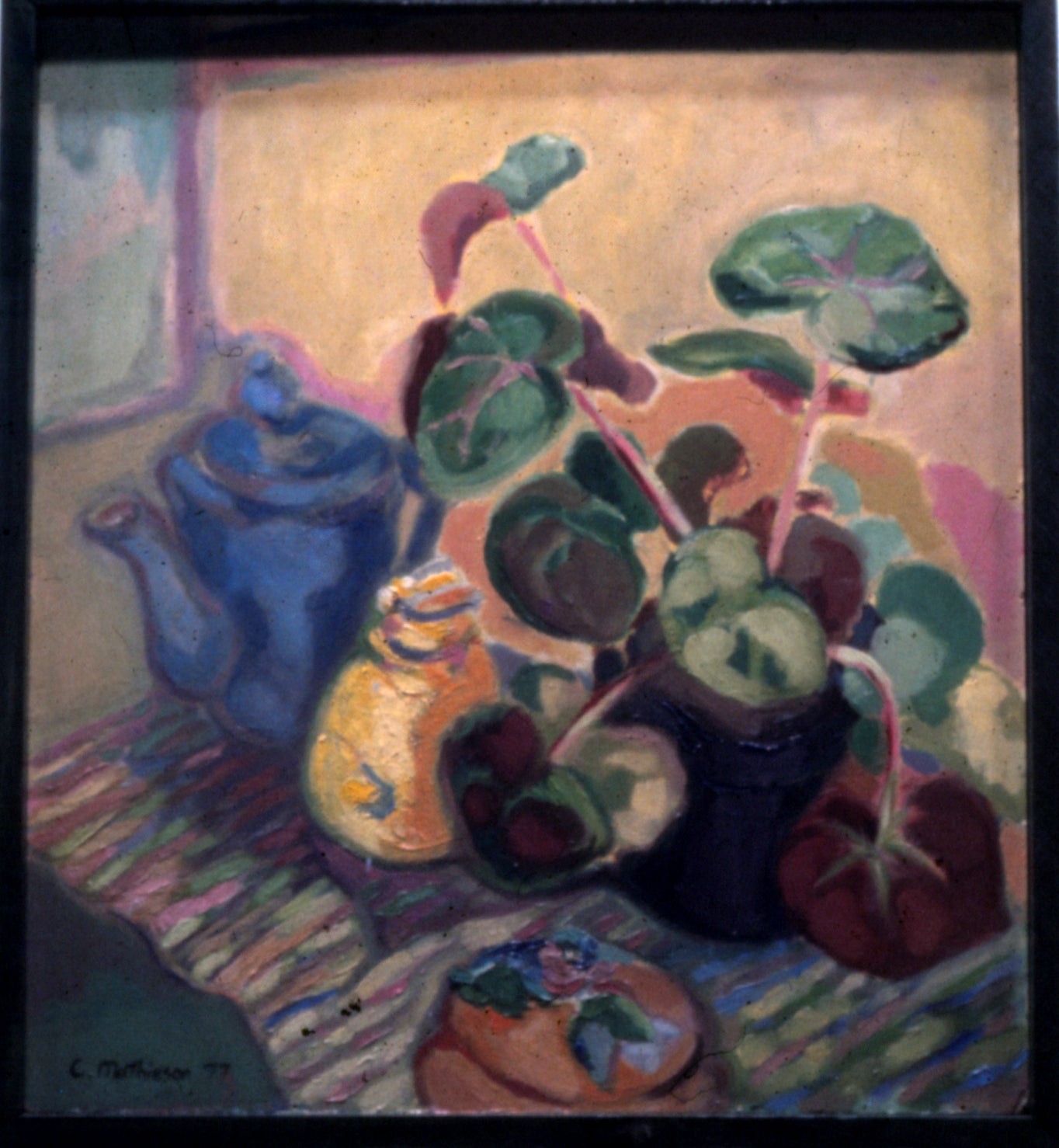 Begonia and Honey Pot. 1977 Private Collection