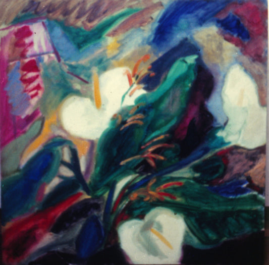 Arrangement with Arum Lilies 1978. Private Collection Auckland