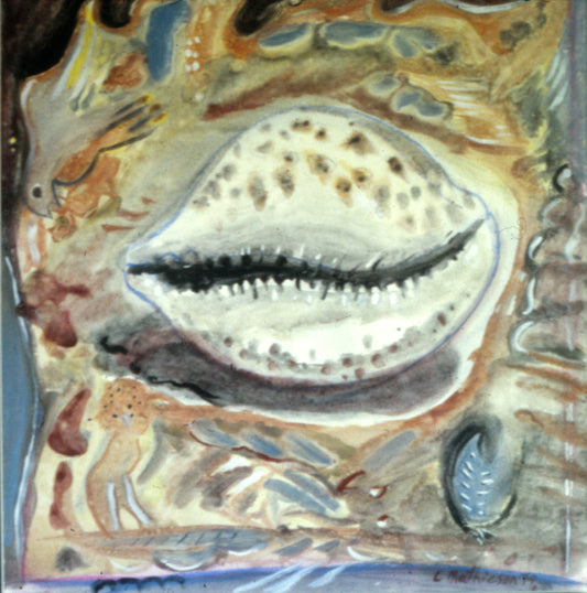 Kauri Shell. Watercolour. 1999. Private Collection Wairarapa