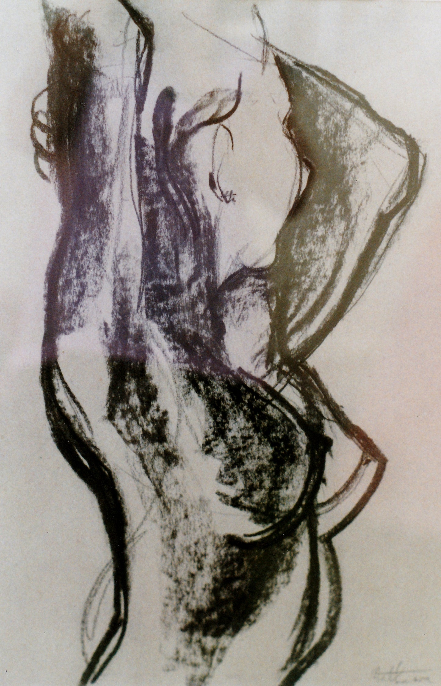 ELENA. charcoal. 2005