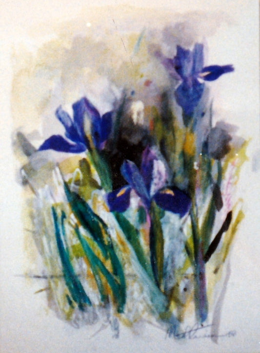 Bearded Iris with Japanese wording.  1988.  Private Collection