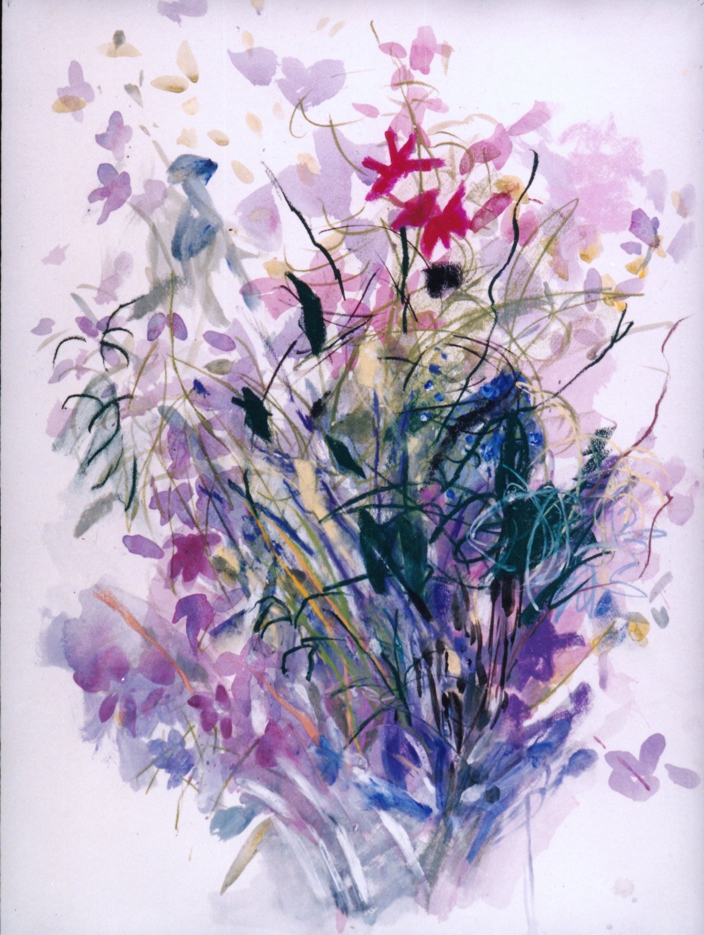 Larkspurs. 1998. Private Collection