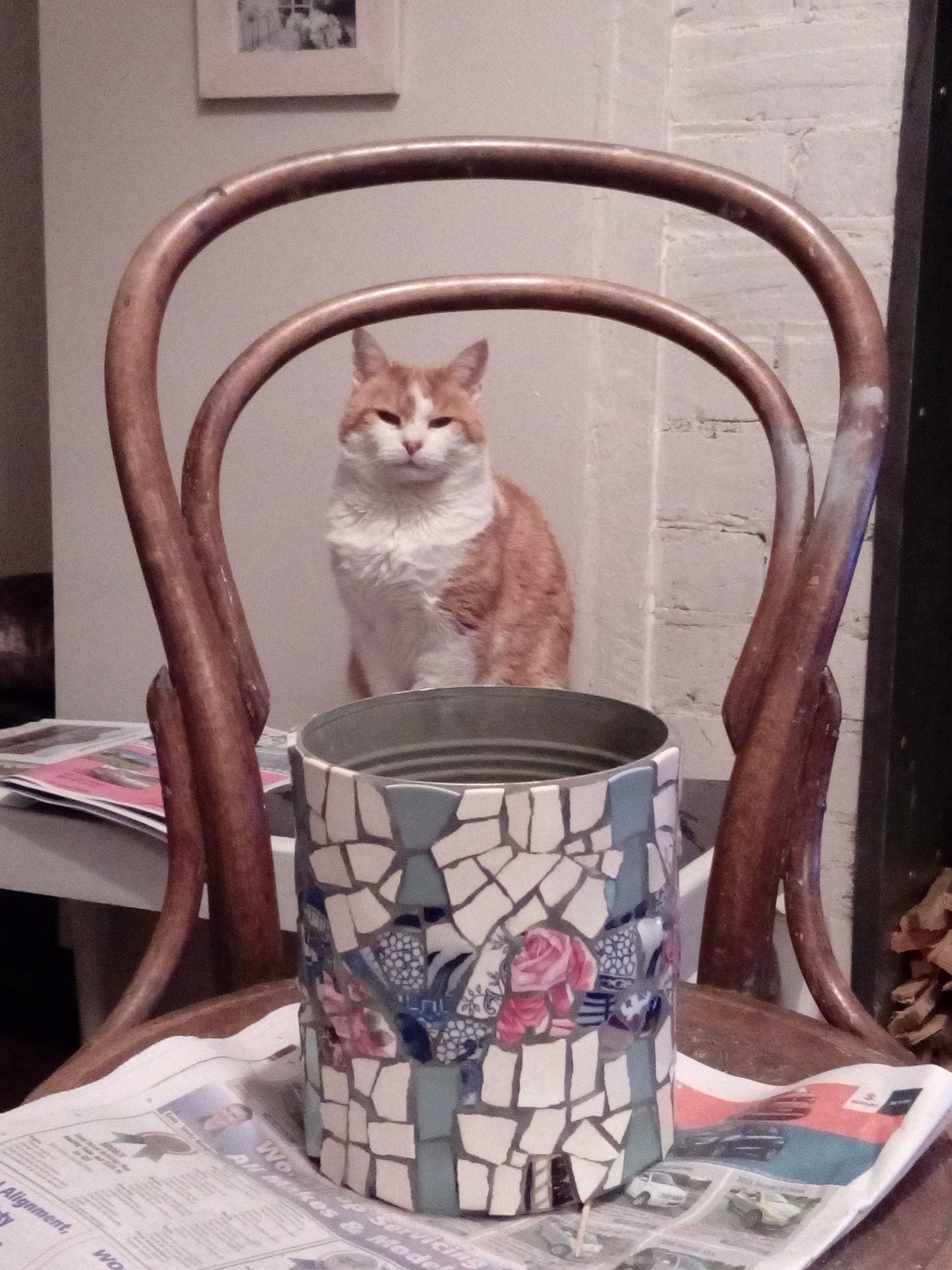 Pierre helping me do a mosaic. Private Collection Havelock North.